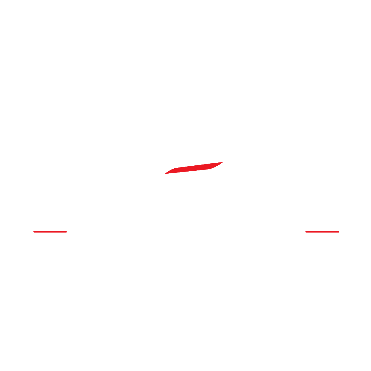 MJ Race Support